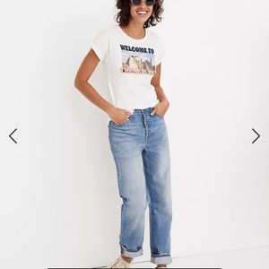 Madewell The Dadjean High rise Button fly 24